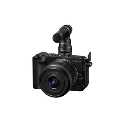 3. Canon 24,2-Megapixel-Kamera mit Bildstabilisierung, ISO 32000, WLAN, APS-C-Sensor, Schwarzweiß