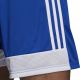 5. adidas Tastigo 19 Shorts Jr DP3682