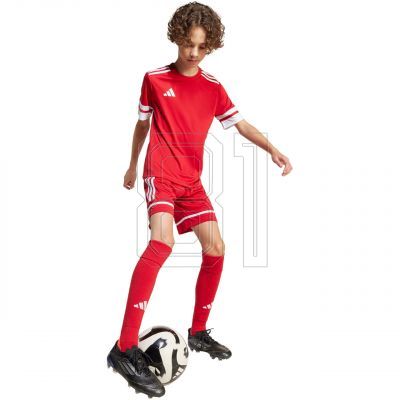 8. Shorts adidas Squadra 25 Jr JN5456