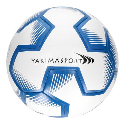 3. Yakima Sport 100095 Ball