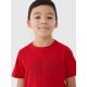 5. T-Shirt 4F Jr 4FJWSS25TTSHM2179-62S