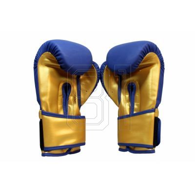 2. Masters Boxhandschuhe RPU-COLOR/GOLD 10 oz 01439-0210
