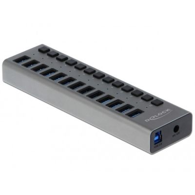 DeLOCK Externer USB-Hub 5 Gbit/s – 13 Ports + Schalter