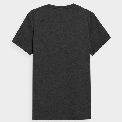 2. T-Shirt 4F M 4FSS23TTSHM536 23M