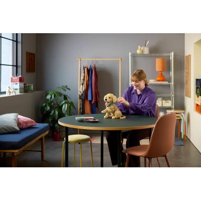 10. LEGO 11384 Icons – Golden Retriever Welpe