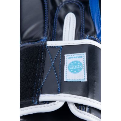 10. RTT-WAKO Boxhandschuhe 10 oz (WAKO GENEHMIGT)