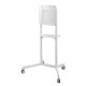 17. Neomounts von Newstar NM-M1250 177,8 cm (70") Weiß
