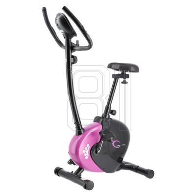 45. Lila Magnetfahrrad HMS M9239V 