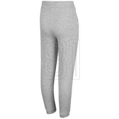2. Hose 4F Jr HJZ22 JSPDD002 27M
