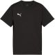 Puma TeamGoal Trikot für Kinder, schwarz, 658637 03