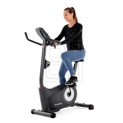16. Schwinn 510U Programmierbares Fahrrad 100935