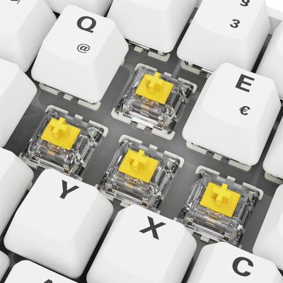 9. Sharkoon Skiller SGK50 S4 Gen2 PBT Wei-Gel RGB Gaming-Tastatur