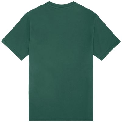 2. Fila Laas Regular T-Shirt grün FAM0874 60105