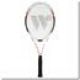 2. WISH WS4001 Badmintonnetz 