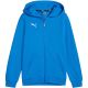 2. Puma teamGoal Casuals Kapuzenpullover Jr 658596 02