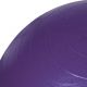 37. PROfit 55cm Gymnastikball mit Pumpe DK2102