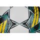 2. Wählen Sie Pioneer TB IMS T26-17849 Fußball r.5