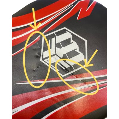 14. MASTERS Trainerpfoten - ŁZ
