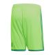 2. Adidas Regista 18 Short M CF9598 Shorts