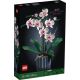 15. LEGO Icons 10311 - Orchidee