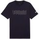 6. Puma Sport Graphic Tee M 684617 16