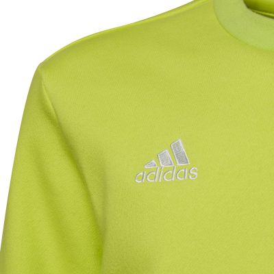 9. Adidas Entrada 22 Sweat Top Jr HC5043 Sweatshirt