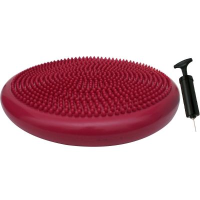 20. SENSORMOTOR DISC PILLOW WITH PUMP 33 CM PINK ENERO FIT