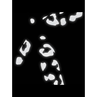 3. BOOKMAN Reflektierender Aufkleber mit Leopardenmuster