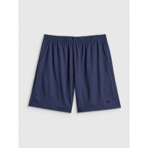 Schnelltrocknende Trainingsshorts für Herren 4F 4FWSS26TFSHM1277-31M