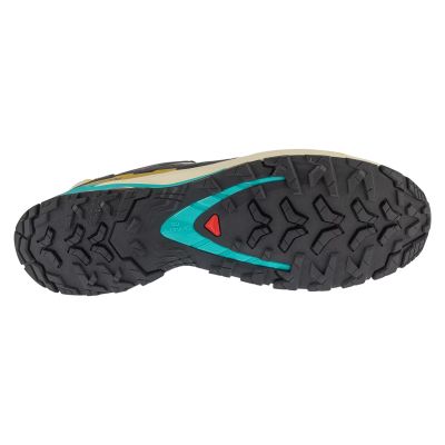 4. Salomon XA Pro 3D v9 GTX L47881700 Beige 49 1/3
