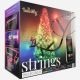 9. Twinkly Strings – 750 RGB-Lichterkette, schwarzes Kabel, Steckertyp F
