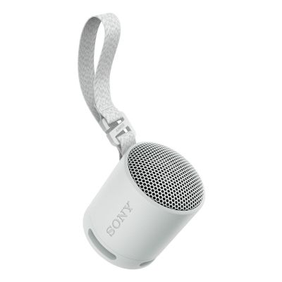 2. Sony SRS-XB100 Tragbarer Mono-Lautsprecher Grau