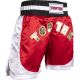 3. TOP TEN Kick Light Shorts (WAKO-GENEHMIGT)