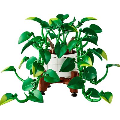 3. LEGO Botanische Kollektion 11512 – Hängendes Gold-Epipremnum