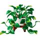 3. LEGO Botanische Kollektion 11512 – Hängendes Gold-Epipremnum
