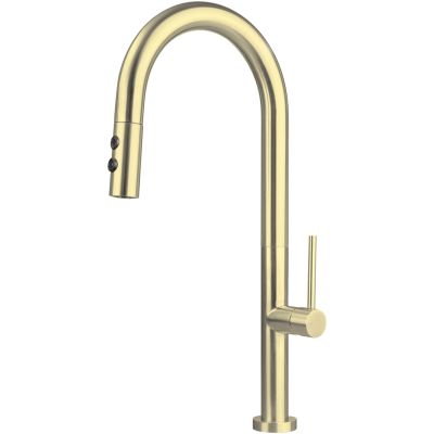 Küchenarmatur mit Ausziehbrause DEANTE OLFATO BQOR72M - 2 Strahlarten (gold)