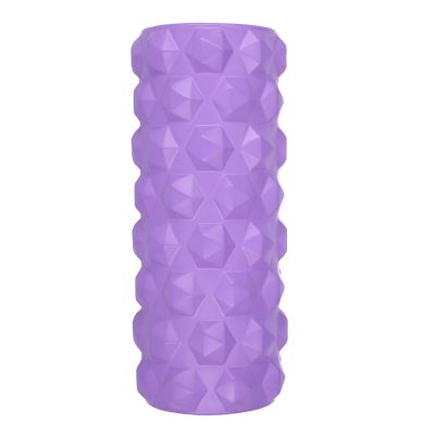 23. Fitnessrolle HMS PURPLE FS107 