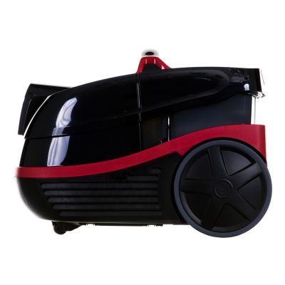 21. BOSCH BWD 421 POW AquaWash&Clean Staubsauger