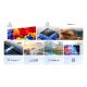 6. 43" TCL 43P6K Fernseher