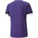 6. Puma teamRise Trikot M 704932 10