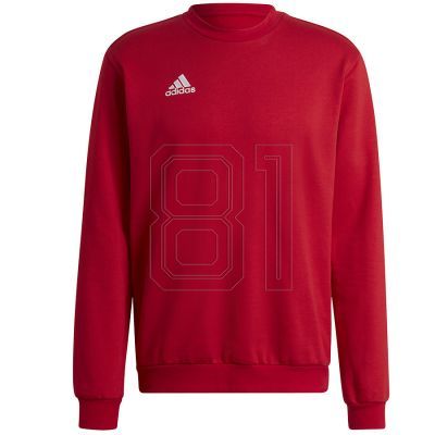 Adidas Entrada 22 Sweatshirt M HB0577