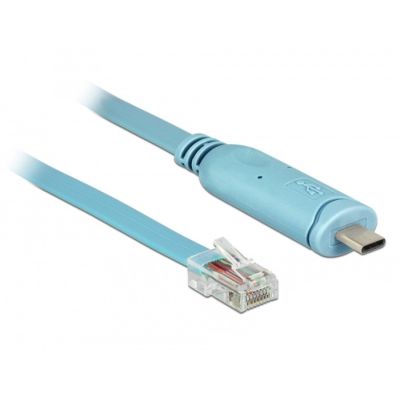 2. DeLOCK 63914 Parallelkabel Blau 3m USB Typ-C RJ45