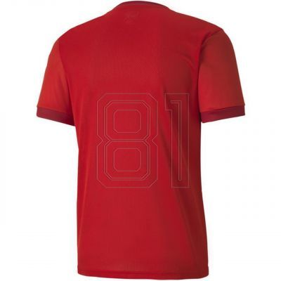 3. Puma teamGOAL 23 Trikot M 704171 01