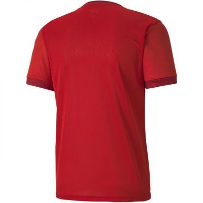 3. Puma teamGOAL 23 Trikot M 704171 01