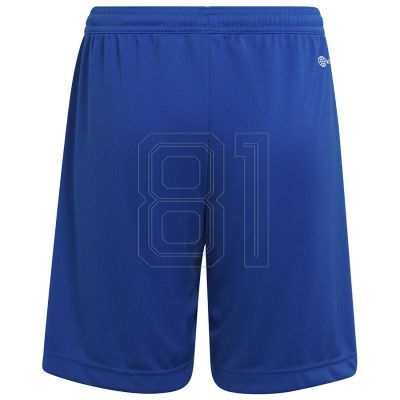 5. Adidas Entrada 22 Short Y Jr HG6291 Shorts