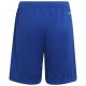 5. Adidas Entrada 22 Short Y Jr HG6291 Shorts