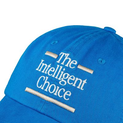 3. New Balance 6 Panel The Intelligent Choi Cap LAH43017BUL
