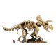 4. LEGO Jurassic World 77985 - Dinosaurierskelette: Triceratops
