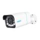 9. Reolink P430 IP-Überwachungskamera