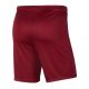 2. Nike Dry Park III M BV6855-677 Shorts